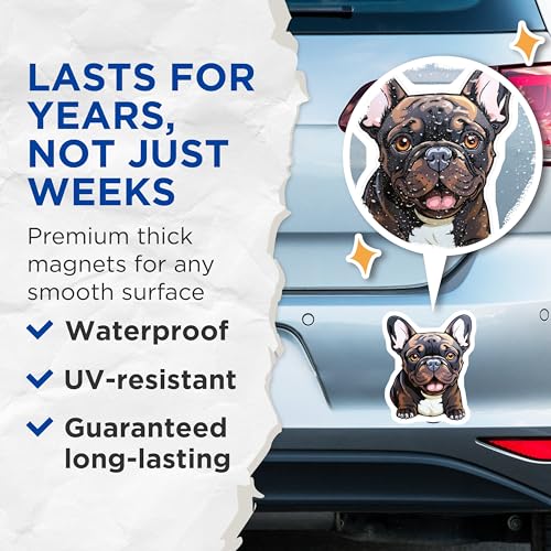 (2 Pack) French Bulldog Magnets - Cute Dog ations - Animal Lovers - Home - 5" On Longest Side - for Cars, Fridges, Toolboxes - Made in USA - MAG3933