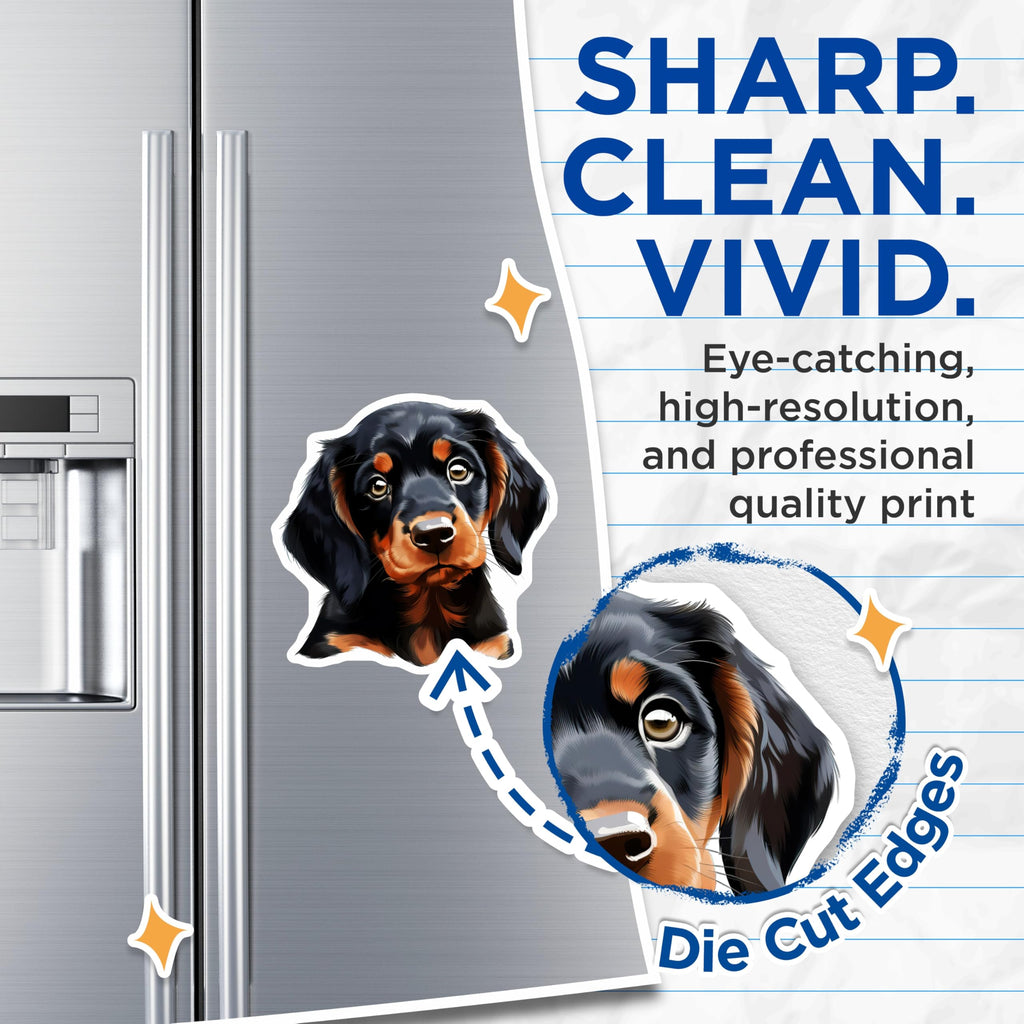 (2 Pack) Cute Dachshund Puppy Magnets - Black Tan Dog Art - Pet Lover Fridge Decor - Animal Lover Accessory - 5 Inches On Longest Side - Thick Durable Magnet - Made in USA - MAG30874