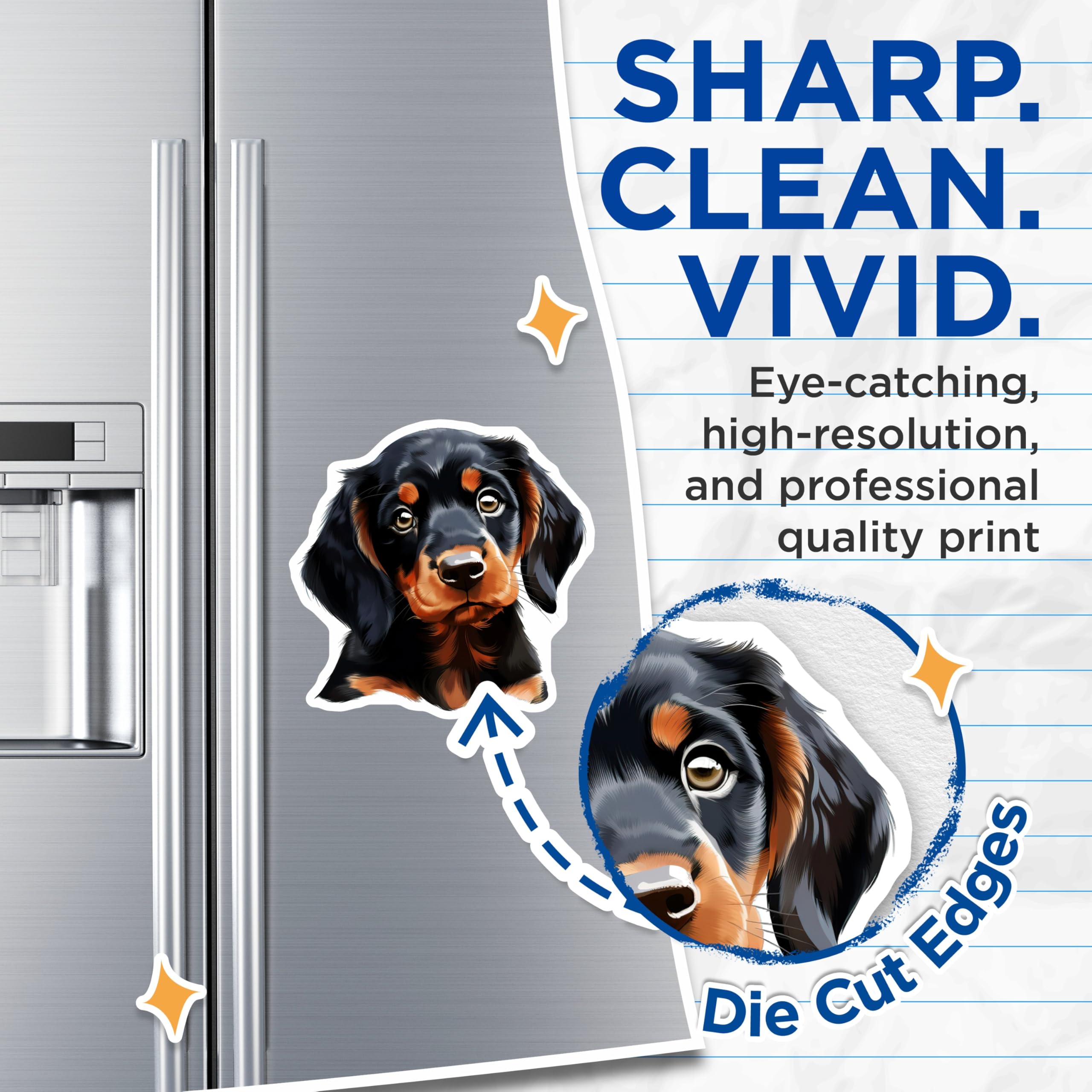 (2 Pack) Cute Dachshund Puppy Magnets - Black Tan Dog Art - Pet Lover Fridge Decor - Animal Lover Accessory - 5 Inches On Longest Side - Thick Durable Magnet - Made in USA - MAG30874