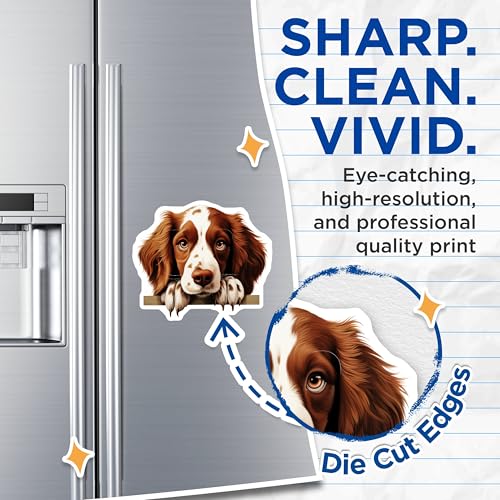 (2 Pack) Dog Decor for Refrigerator and Office Magnet - 5" On Longest Side - Sticks to Smooth Flat Surfaces - Made in USA - MAG10332