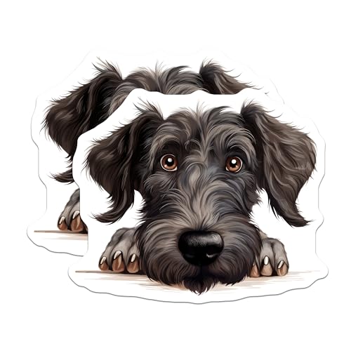 (2 Pack) Pet Lover Decor Magnet - 5" On Longest Side - Sticks to Smooth Flat Surfaces - Made in USA - MAG10271