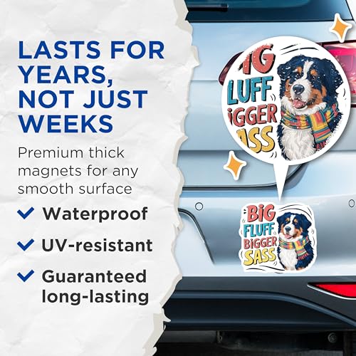(2 Pack) Big Fluff Bigger Sass Magnets Magnets - 5" On Longest Side - Made in USA - Sticks to Refrigerators & Metal Surfaces - MAG8517