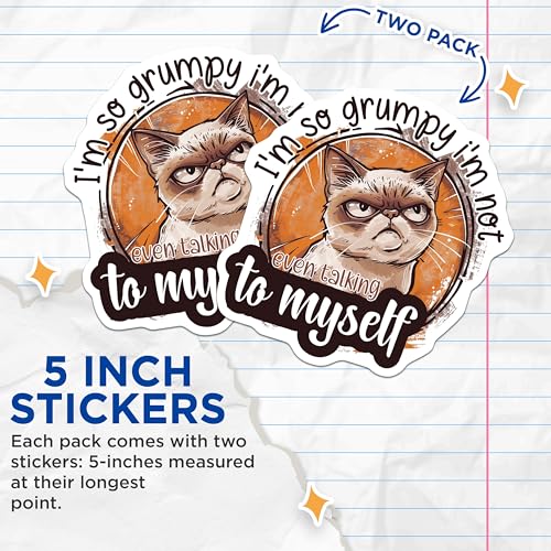 (2 Pack) Grumpy Cat Stickers - Im So Grumpy Im Not Talking to Myself Stickers - Funny Cat Meme Stickers - 5" On Longest Side - Sticks to Smooth Flat Surfaces - Made in USA - BMCS4337