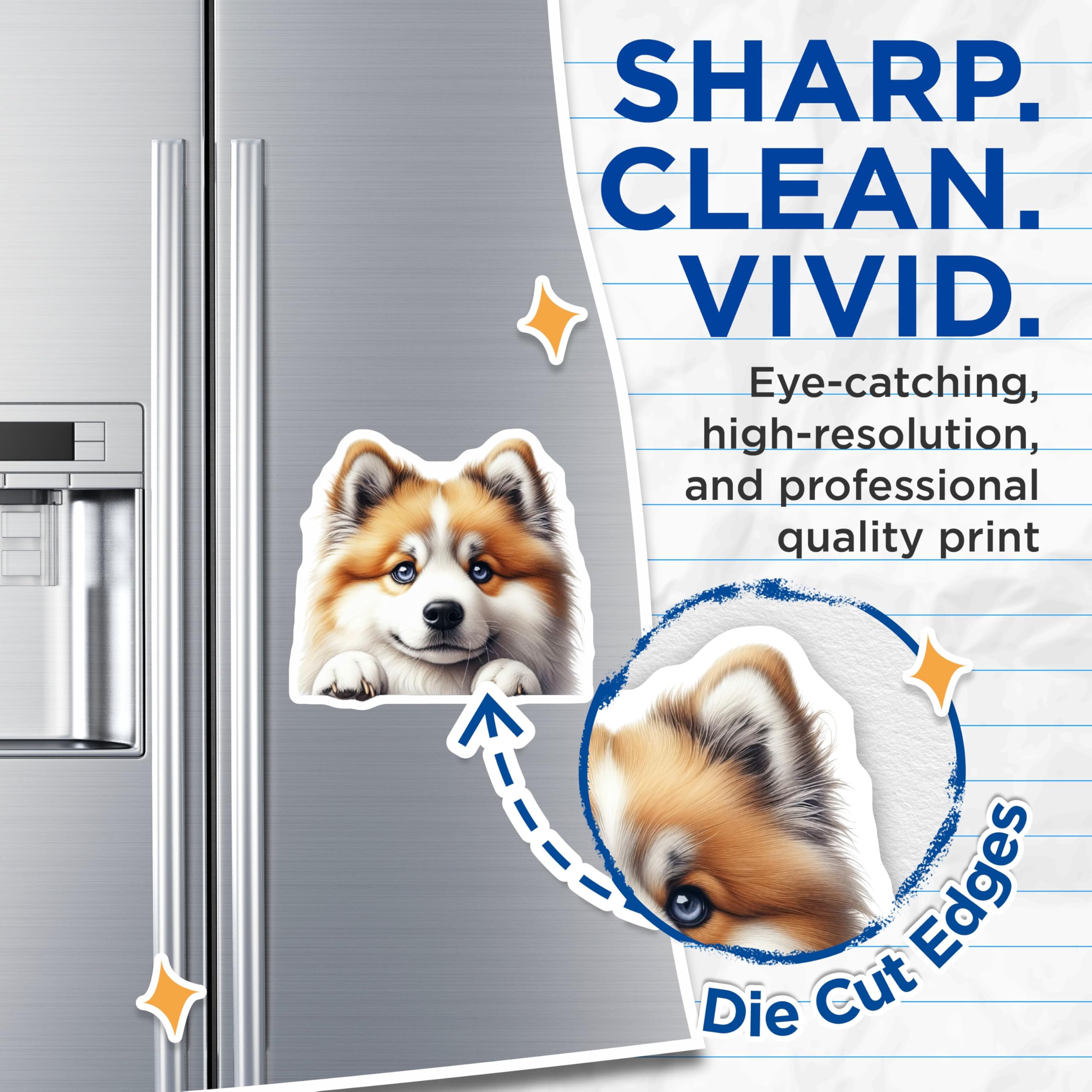(2 Pack) Pomsky Dog Magnets - Cute Puppy Art - Fridge Office Decor - 5" On Longest Side - Premium Magnet - for Cars, Refrigerators, Toolboxes, Lockers - Made in USA - MAG15904