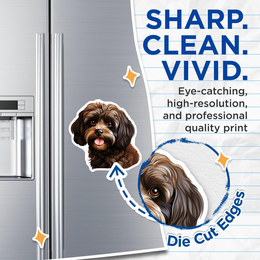 (2 Pack) Havanese Dog Magnets - Brown Puppy Illustration - Adorable Pet Lover Fridge Decor - Cute Canine Home Accent - 5 Inches On Longest Side - Thick Durable Magnet - Made in USA - MAG24369