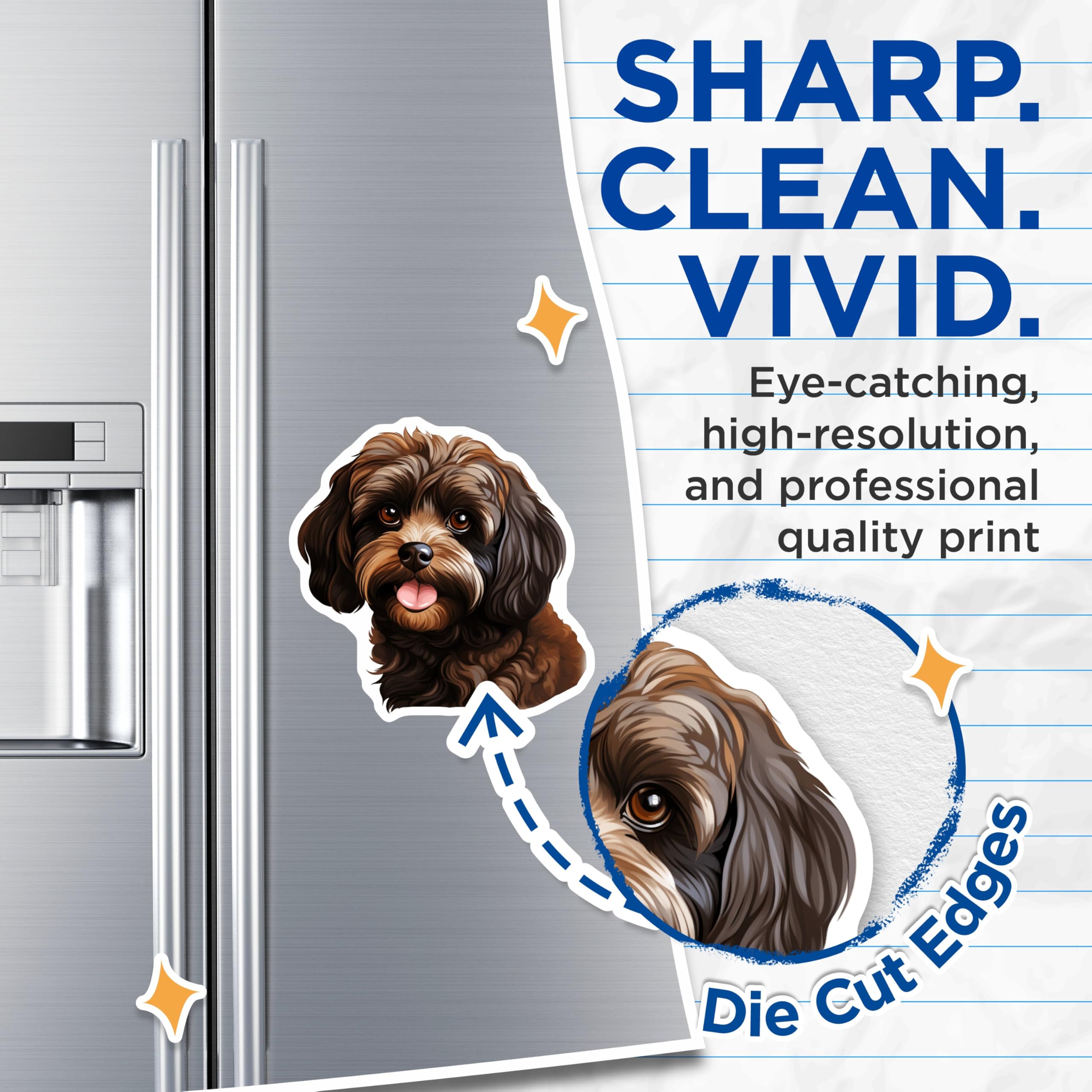 (2 Pack) Havanese Dog Magnets - Brown Puppy Illustration - Adorable Pet Lover Fridge Decor - Cute Canine Home Accent - 5 Inches On Longest Side - Thick Durable Magnet - Made in USA - MAG24369