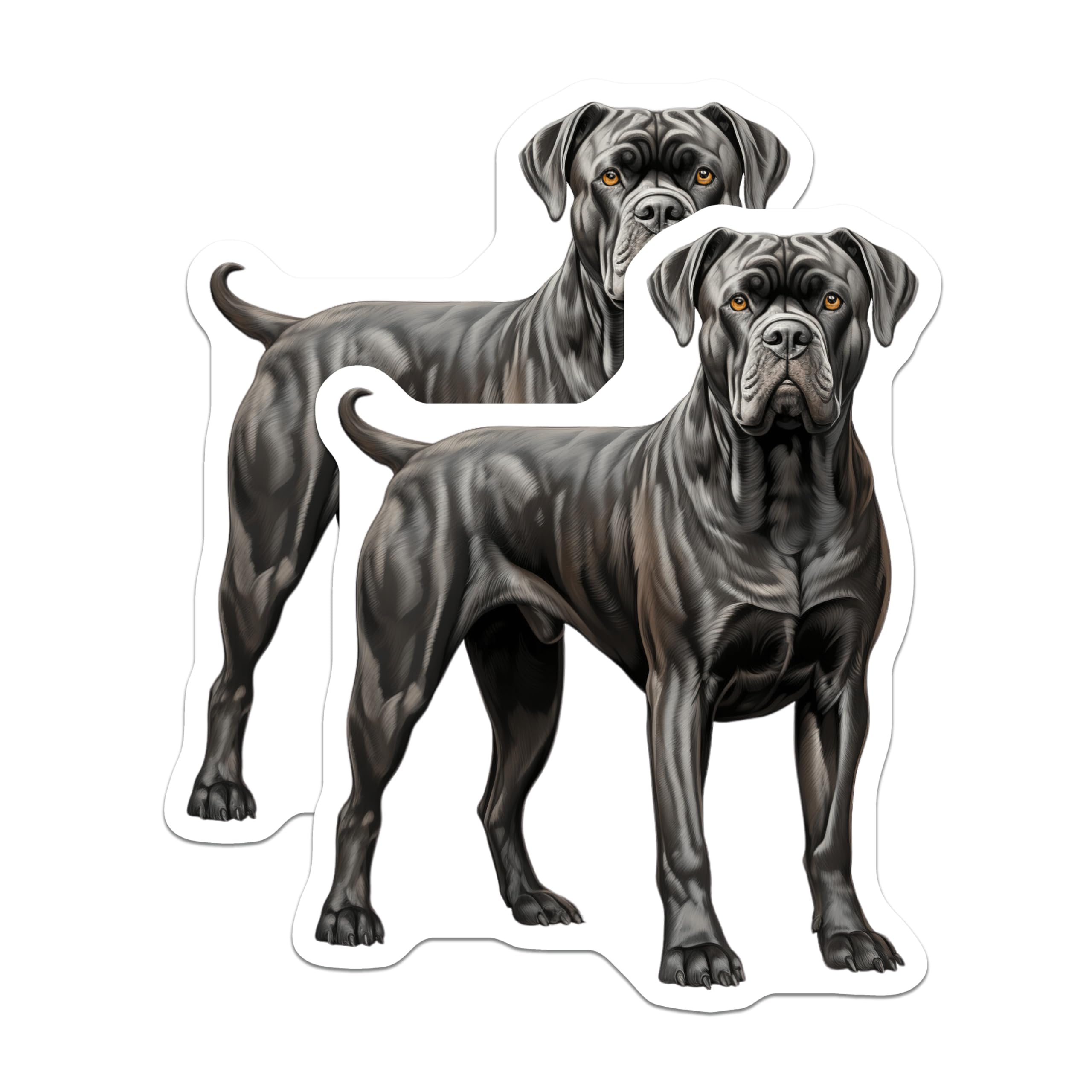 (2 Pack) Cane Corso Magnets - Powerful Dog Breed - Pet Lover Accessory - 5 Inches On Longest Side - Thick Durable Magnet - Made in USA - MAG27885