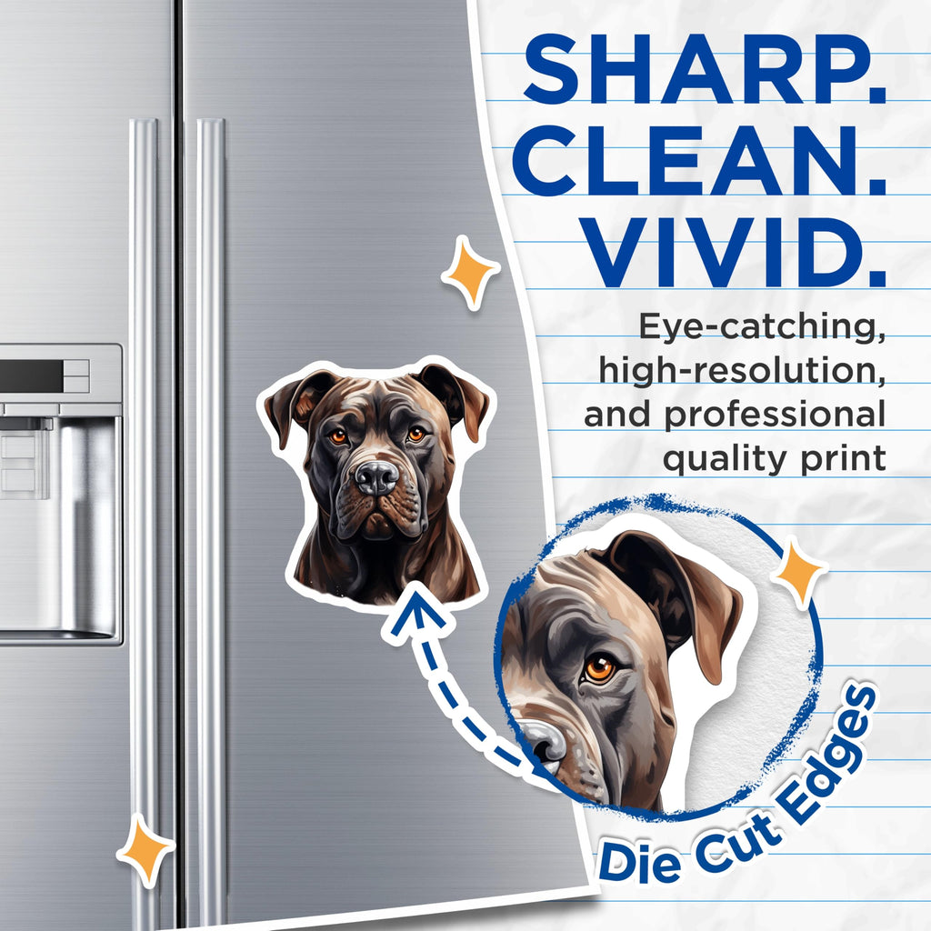 (2 Pack) Cane Corso Dog Breed Magnets - Powerful Mastiff Animal Portrait - Refrigerator Kitchen Locker Home Decor - 5 Inches On Longest Side - Thick Durable Magnet - Made in USA - MAG23250