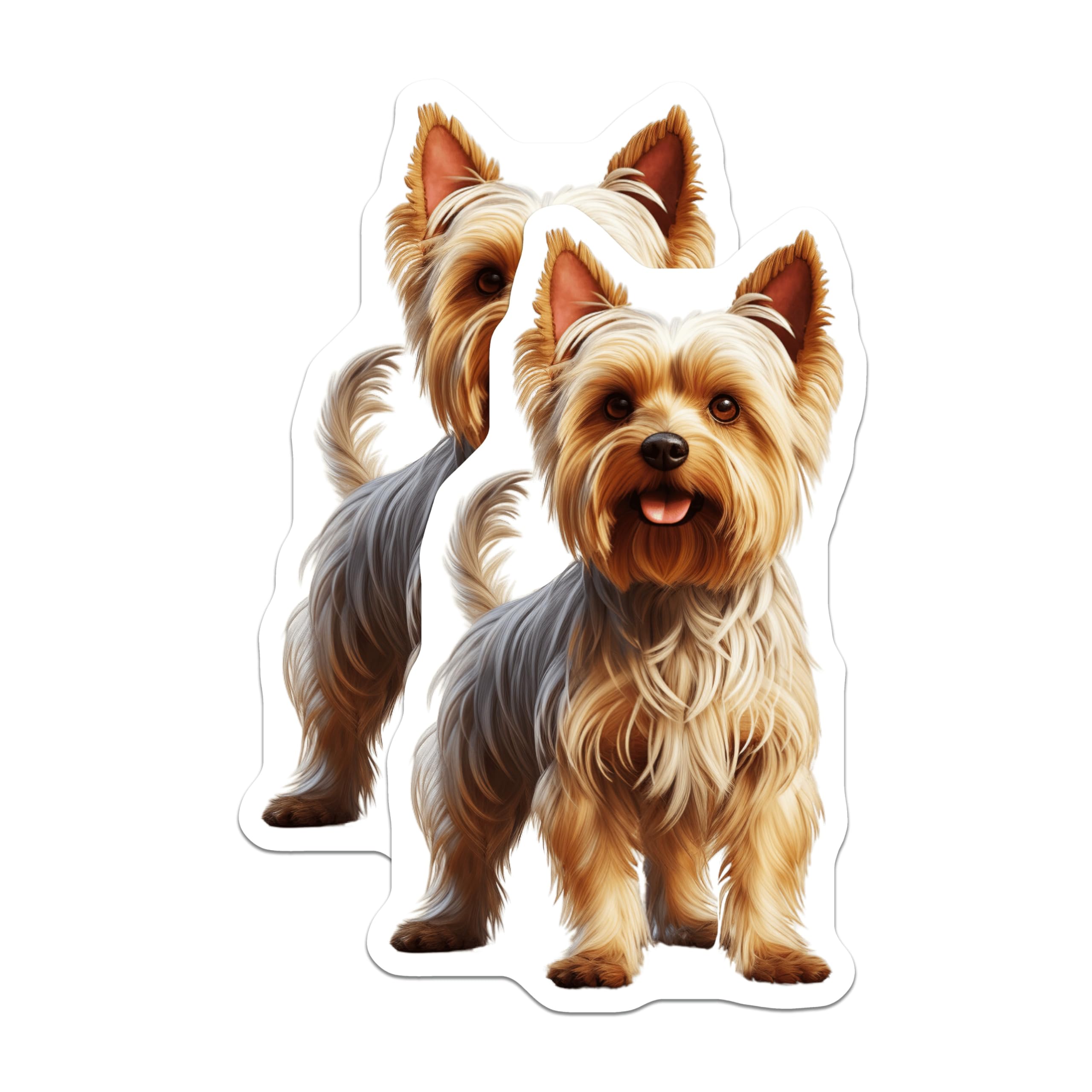 (2 Pack) Yorkshire Terrier Magnets - Adorable Yorkie Dog Lover Home Decor - Pet Parent Refrigerator Accents - 5 Inches On Longest Side - Thick Durable Magnet - Made in USA - MAG28044