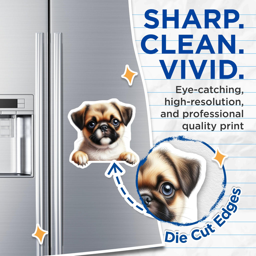 (2 Pack) Pekingese Puppy Magnets - Cute Dog Art - Adorable Pekingese Decor - 5" On Longest Side - Premium Magnet - for Cars, Refrigerators, Toolboxes, Lockers - Made in USA - MAG14131