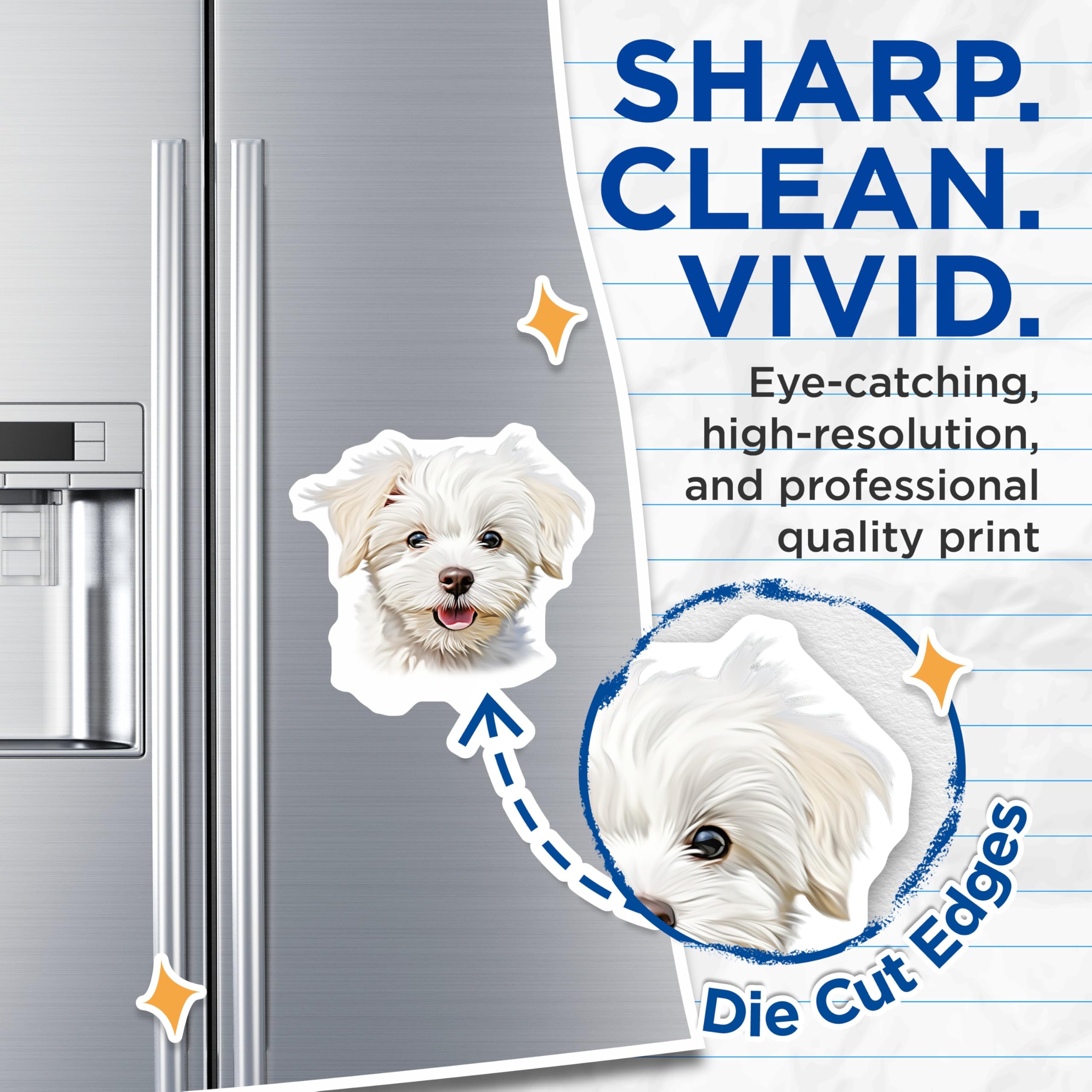 (2 Pack) Cute Maltese Puppy Magnets - Fluffy White Dog Decor - Adorable Pet Owner Refrigerator - 5 Inches On Longest Side - Thick Durable Magnet - Made in USA - MAG27565