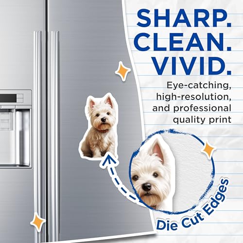 (2 Pack) Westie Dog Magnets - Adorable West Highland Terrier Fridge Accessory - Pet Owner Cute Animal Decor - 5 Inches On Longest Side - Thick Durable Magnet - Made in USA - MAG29766