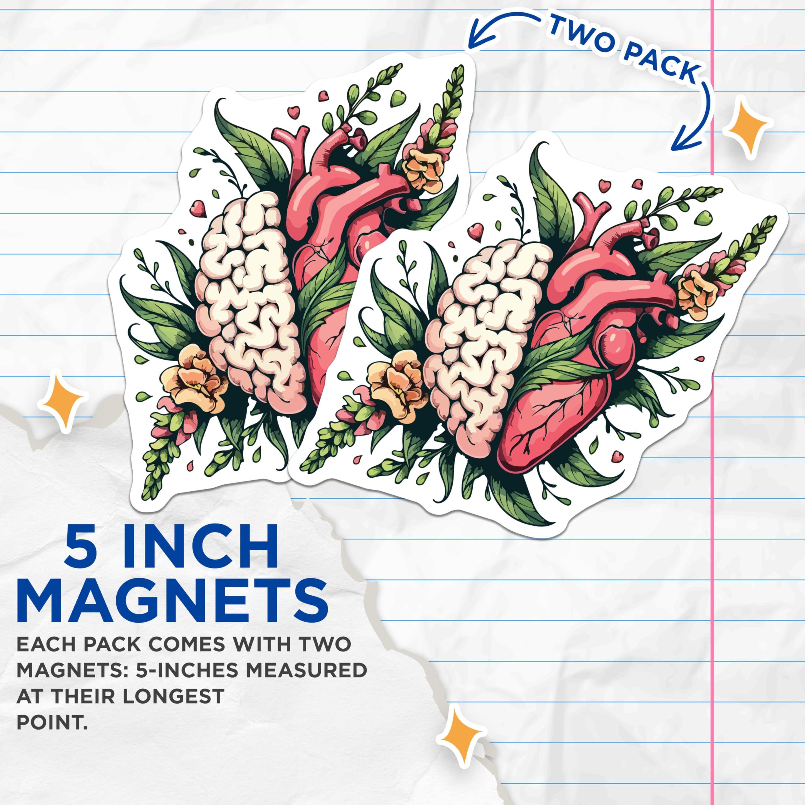 (2 Pack) Brain Heart Anatomical Magnets - Mind Body Connection Art Decor - Human Organ Floral Science Wellness Magnets - 5 Inches On Longest Side - Thick Durable Magnet - Made in USA - MAG19796