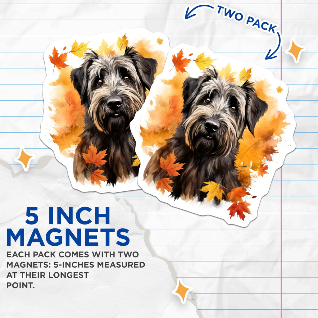(2 Pack) Schnauzer Dog Magnets - Autumn Leaves Kitchen Decor - Pet Lover Refrigerator Accent - 5 Inches On Longest Side - Thick Durable Magnet - Made in USA - MAG26137