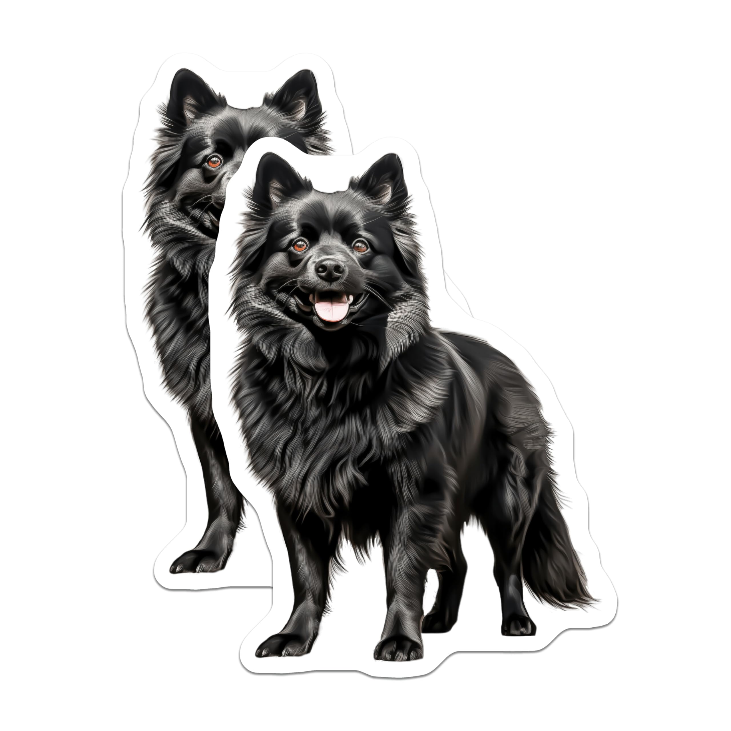 (2 Pack) Fluffy Black Dog Magnets - Happy Dog Lover Decor - Pet Parent Refrigerator Art - Schipperke Breed - 5 Inches On Longest Side - Thick Durable Magnet - Made in USA - MAG28395