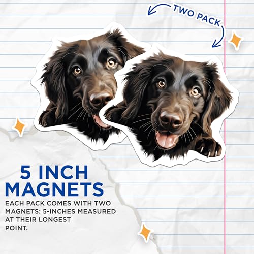 (2 Pack) Pet Lover Decor Magnet - 5" On Longest Side - Sticks to Smooth Flat Surfaces - Made in USA - MAG10168