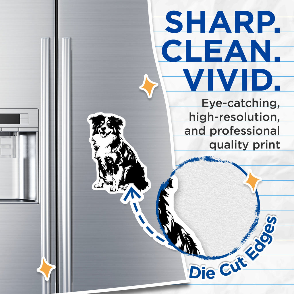(2 Pack) Border Collie Magnets - Dog Lover Decor - Pet Owner Fridge Accessories - 5 Inches On Longest Side - Thick Durable Magnet - Made in USA - MAG39005