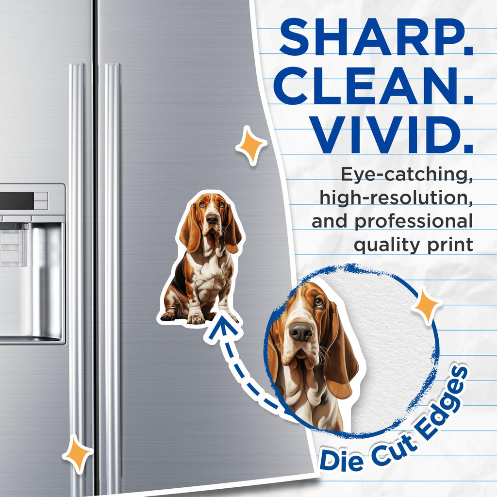 (2 Pack) Basset Hound Dog Magnets - Lifelike Hound Artwork - Pet Lover Decor Accent - 5 Inches On Longest Side - Thick Durable Magnet - Made in USA - MAG25380