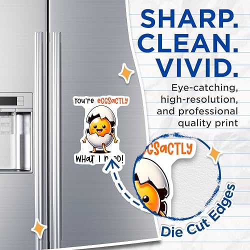 (2 Pack) Funny Egg Magnets Magnets - Cute Kitchen Decor - 5" On Longest Side - Made in USA - Sticks to Refrigerators & Metal Surfaces - MAG8778