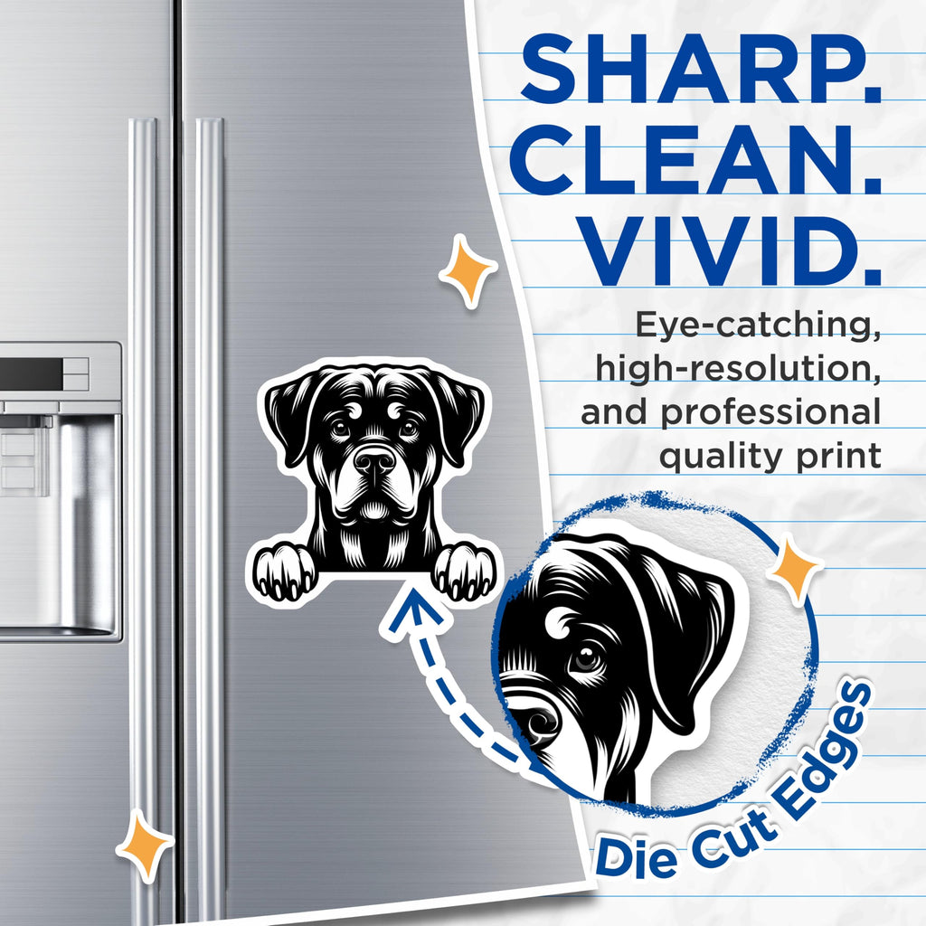 (2 Pack) Rottweiler Magnets - Cute Dog Breed - Dog Lover Present - 5" On Longest Side - Premium Magnet - for Cars, Refrigerators, Toolboxes, Lockers - Made in USA - MAG15559