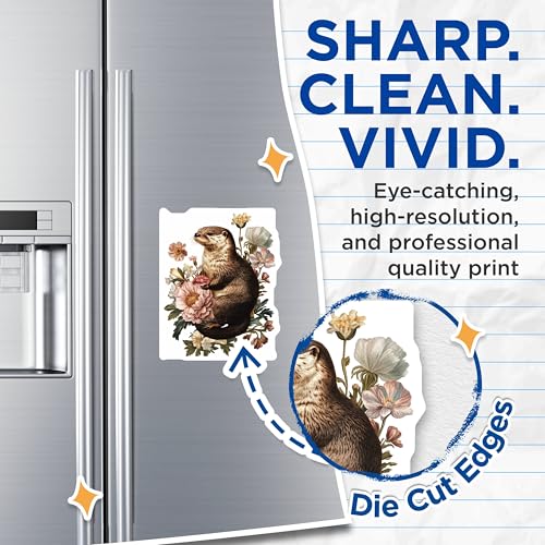 (2 Pack) Otter Floral Magnets - Decorative Animal - Cute Wildlife Illustration - Nature Inspired - 5" On Longest Side - for Cars, Refrigerators, Toolboxes, Lockers - Made in USA BMCS3508