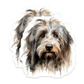 (2 Pack) Shaggy Dog Magnets - Watercolor Dog Art - Pet Lover Decor Accent - 5 Inches On Longest Side - Thick Durable Magnet - Made in USA - MAG26672