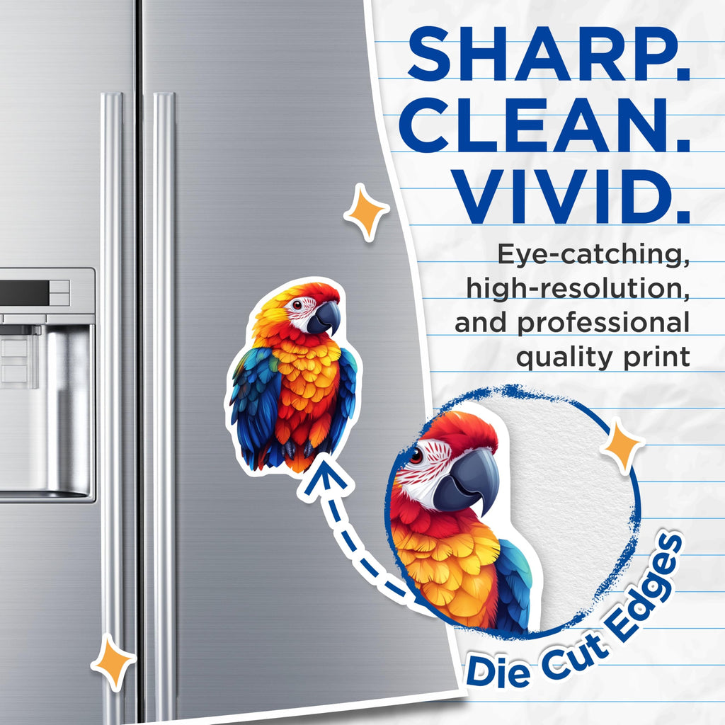 (2 Pack) Scarlet Macaw Magnets - Tropical Bird Art - Vibrant Home Decor - 5 Inches On Longest Side - Thick Durable Magnet - Made in USA - MAG25265