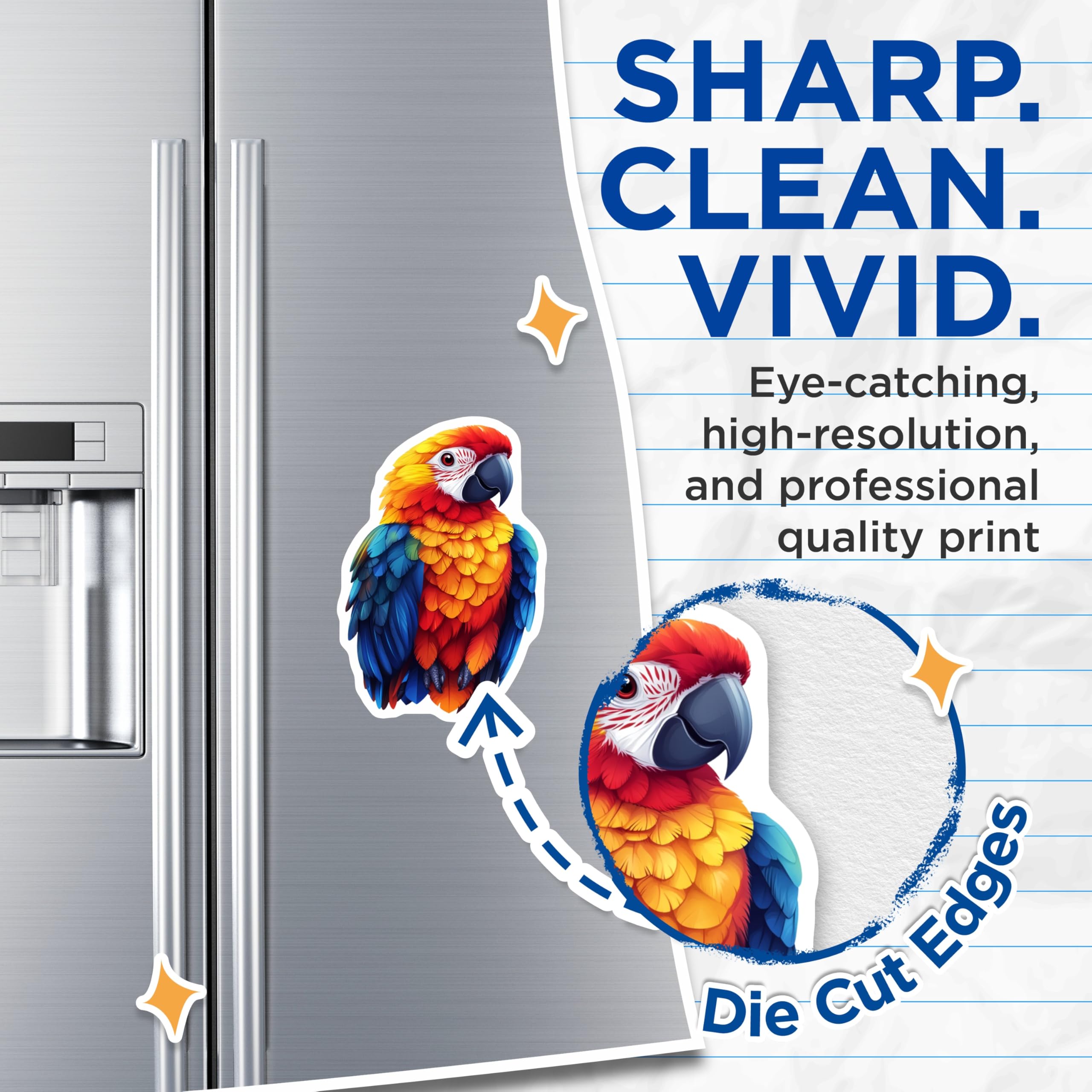 (2 Pack) Scarlet Macaw Magnets - Tropical Bird Art - Vibrant Home Decor - 5 Inches On Longest Side - Thick Durable Magnet - Made in USA - MAG25265
