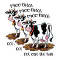 (3 Pack) Funny Cow Decals - Sarcastic Cow - Moo Bitch Get Out The Hay - 3 Inches On Longest Side - Easy Peel & Apply - Made in USA - 3MCS8486