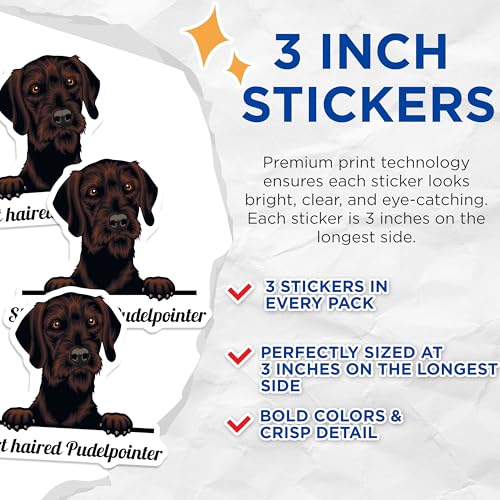 (3 Pack) Short Haired Pudelpointer Decals - Dog Breed Decal - Laptop Decals - 3 Inches On Longest Side - Easy Peel & Apply - Made in USA - 3MCS2997