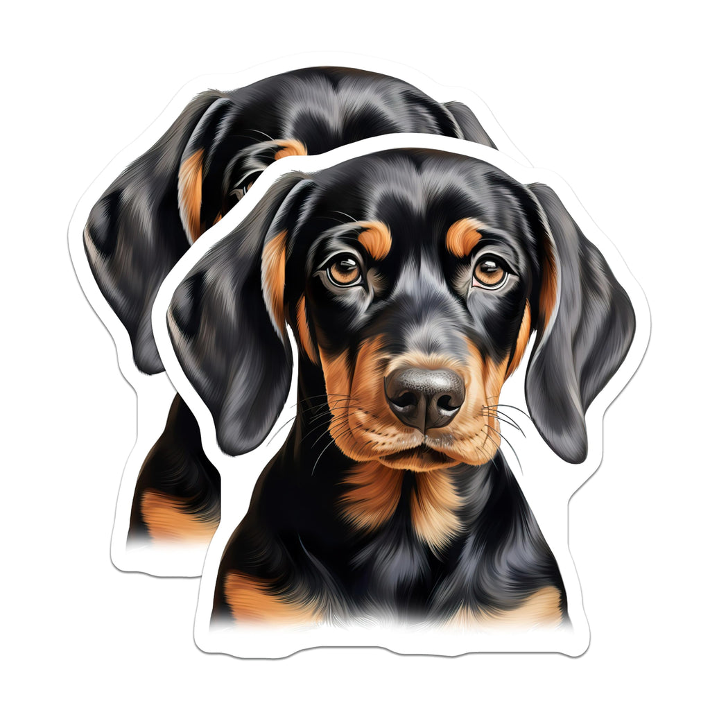 (2 Pack) Dachshund Puppy Magnets - Wiener Dog Refrigerator Decor - Black Tan Doxie Lover - 5 Inches On Longest Side - Thick Durable Magnet - Made in USA - MAG27230