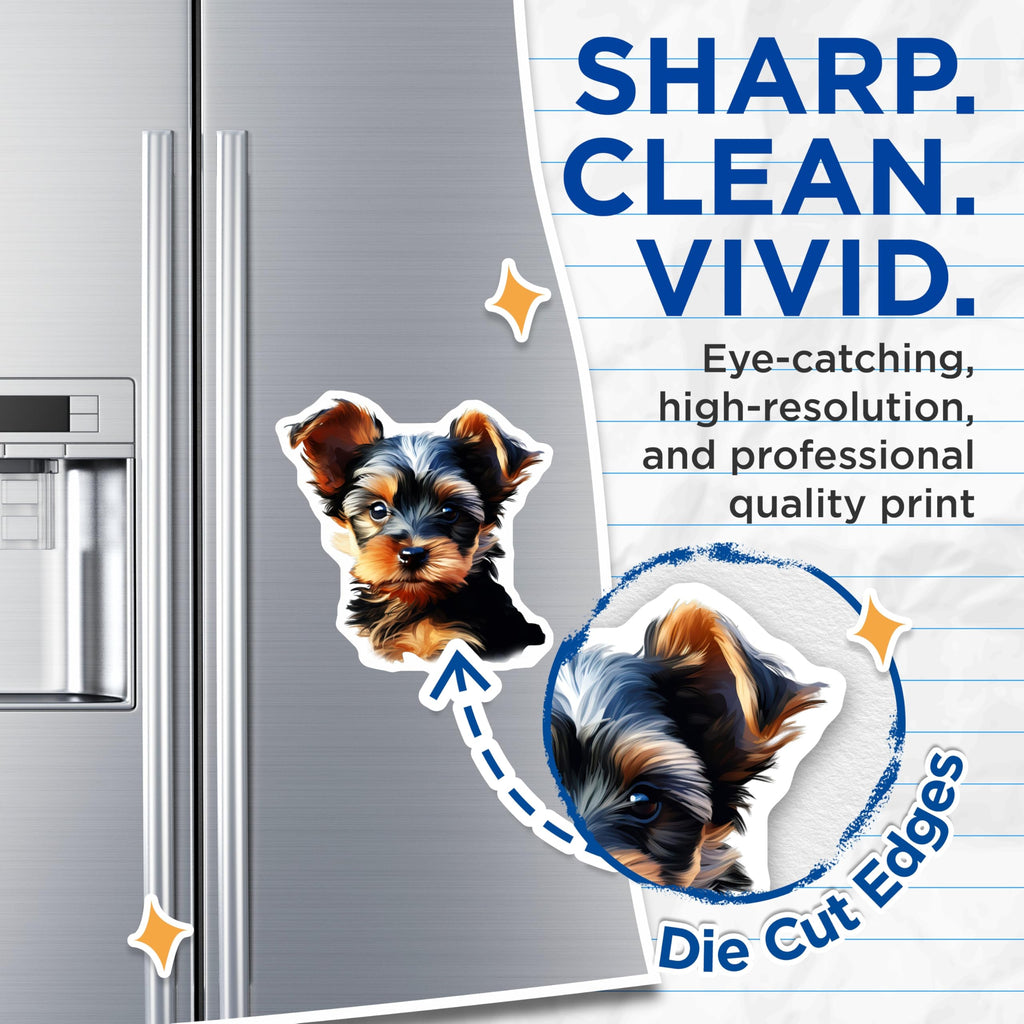 (2 Pack) Yorkshire Terrier Puppy Magnets - Cute Yorkie Dog Lover Decor - Pet Parent Housewarming Present - 5 Inches On Longest Side - Thick Durable Magnet - Made in USA - MAG26306