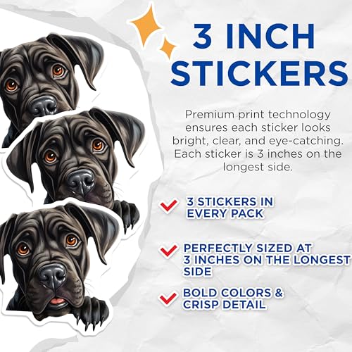 (3 Pack) Cane Corso Decals - Dog Breed Sticker - Italian Mastiff Laptop Decal - 3 Inches On Longest Side - Easy Peel & Apply - Made in USA - 3MCS8663