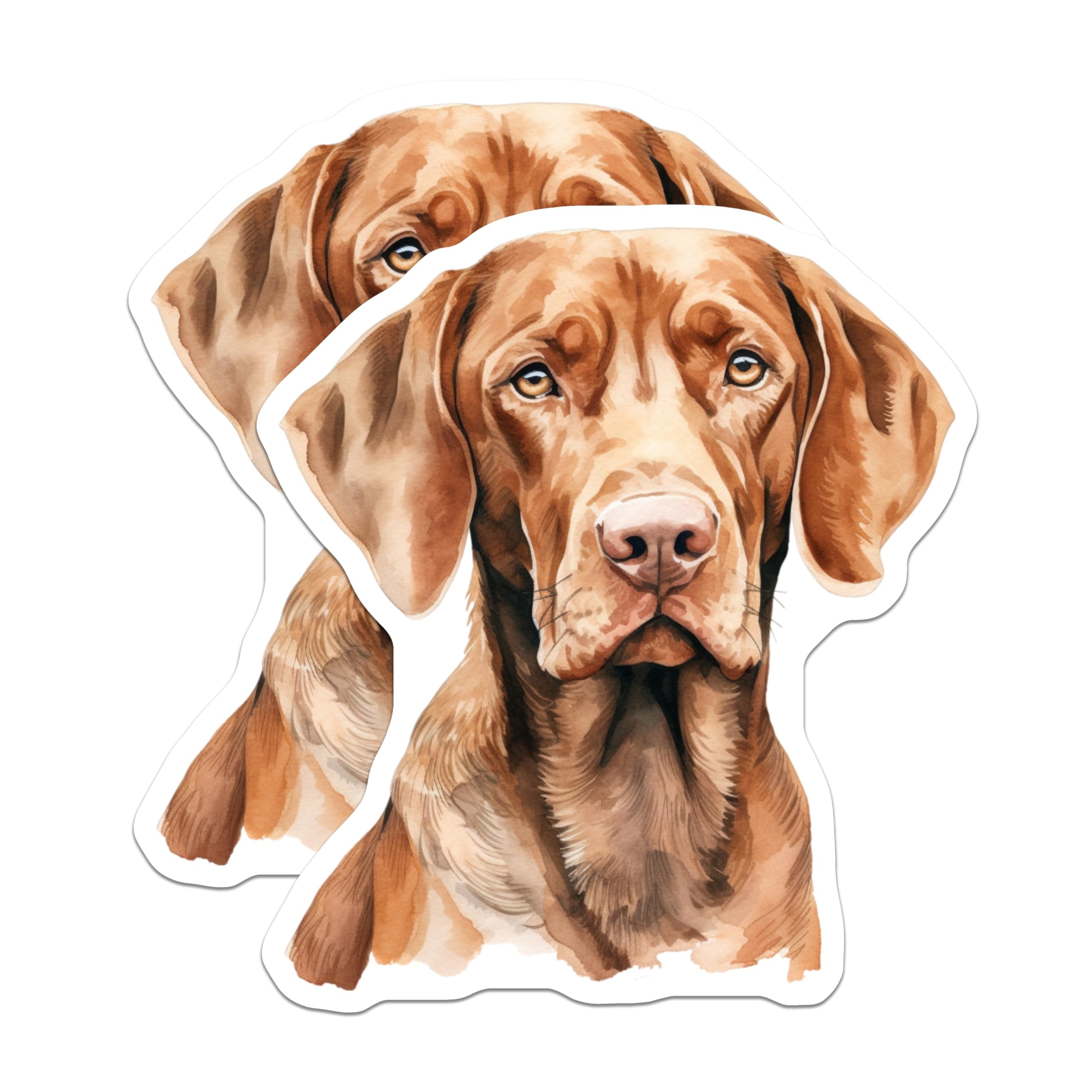 (2 Pack) Vizsla Dog Magnets - Watercolor Dog Art - Dog Owner Decor - 5 Inches On Longest Side - Thick Durable Magnet - Made in USA - MAG27153