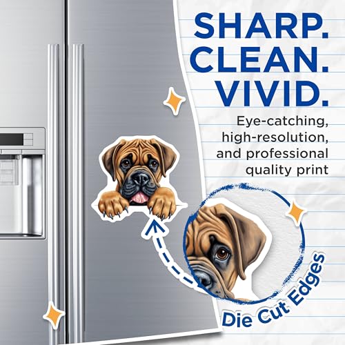 (2 Pack) Fridge Decor Magnet - 5" On Longest Side - Sticks to Smooth Flat Surfaces - Made in USA - MAG9878