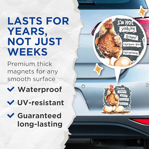 (2 Pack) Chicken Magnets - Funny Kitchen Decor Magnets - Farmhouse Chicken Magnets- 5" On Longest Side - for Fridges, Toolboxes, Cars - Made in USA - MAG2601
