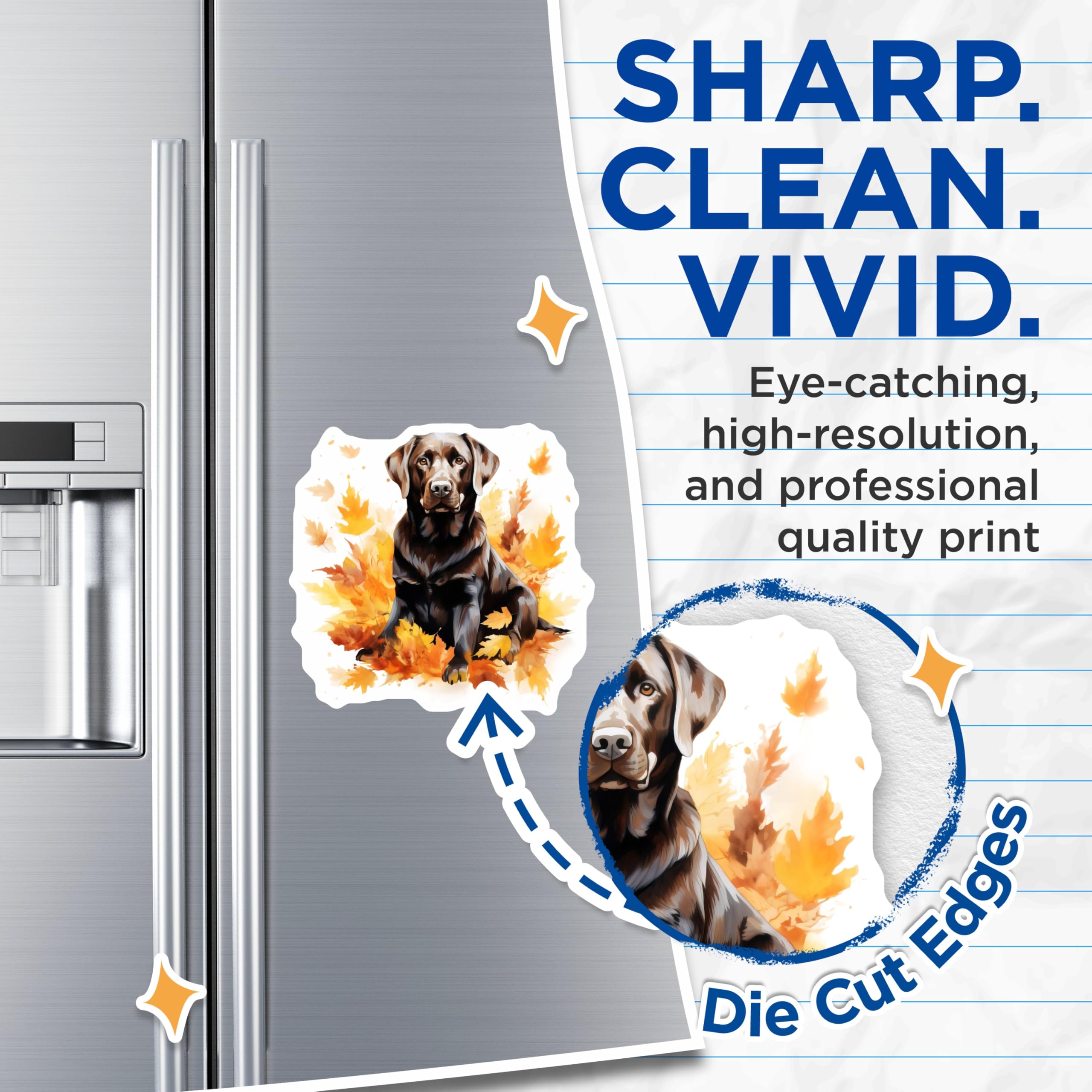 (2 Pack) Chocolate Lab Fall Magnets - Labrador Retriever Autumn Dog Decor - Pet Lover Seasonal Refrigerator Magnets - 5 Inches On Longest Side - Thick Durable Magnet - Made in USA - MAG27354