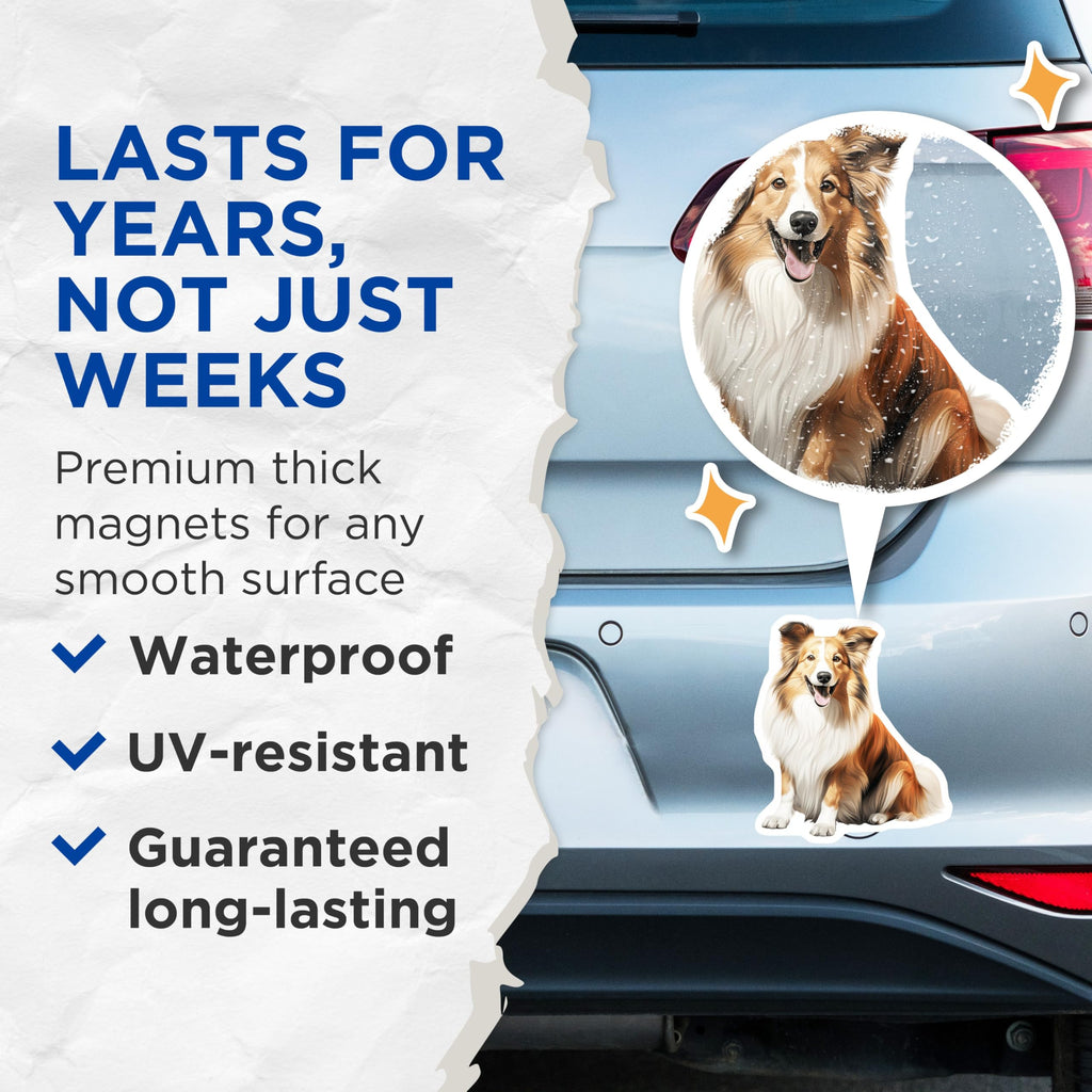 (2 Pack) Sheltie Dog Magnets - Smiling Shetland Sheepdog Art - Beloved Canine Companion Refrigerator Display - 5 Inches On Longest Side - Thick Durable Magnet - Made in USA - MAG23655