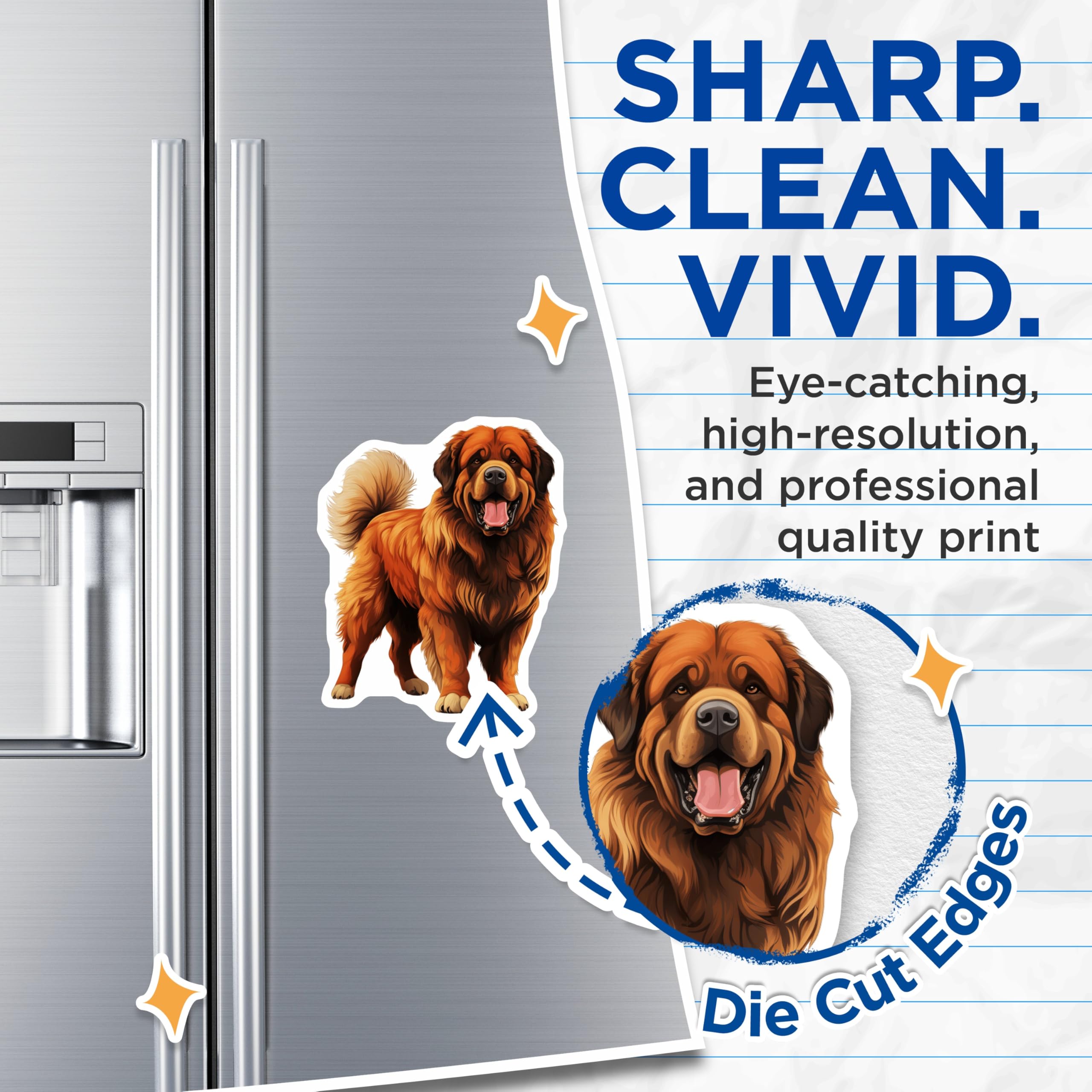 (2 Pack) Tibetan Mastiff Magnets - Loyal Companion Canine Art - Dog Lover Home Decor - 5 Inches On Longest Side - Thick Durable Magnet - Made in USA - MAG25923