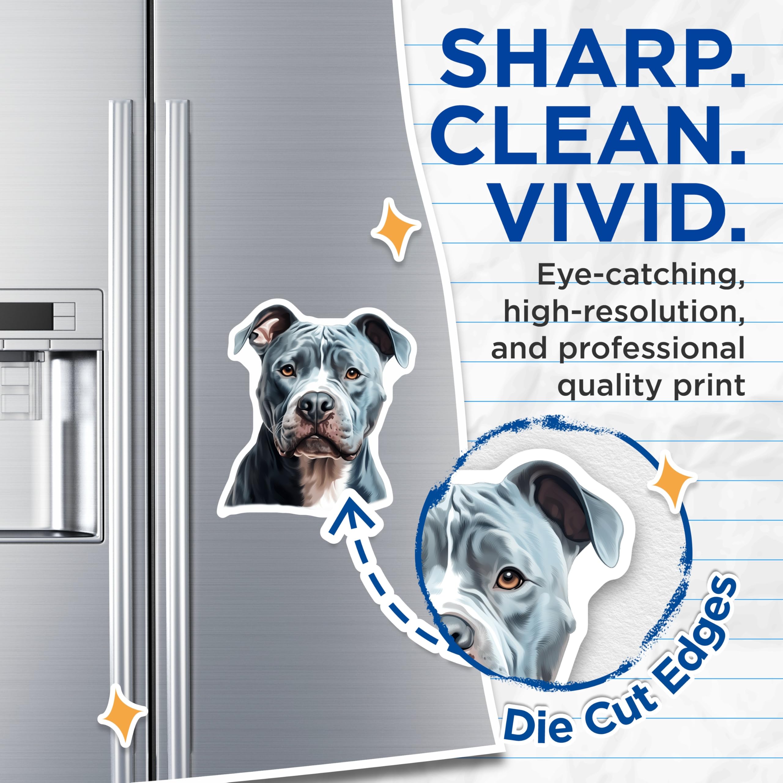 (2 Pack) Blue Nose Pitbull Magnets - American Pit Bull Terrier Art - Dog Lover Decor - Pet Breed Adornment - 5 Inches On Longest Side - Thick Durable Magnet - Made in USA - MAG23984