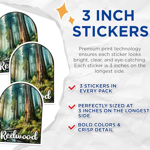 (3 Pack) Redwood Forest Decals - National Park Sticker - Nature Laptop Decal - 3 Inches On Longest Side - Easy Peel & Apply - Made in USA - 3MCS0453
