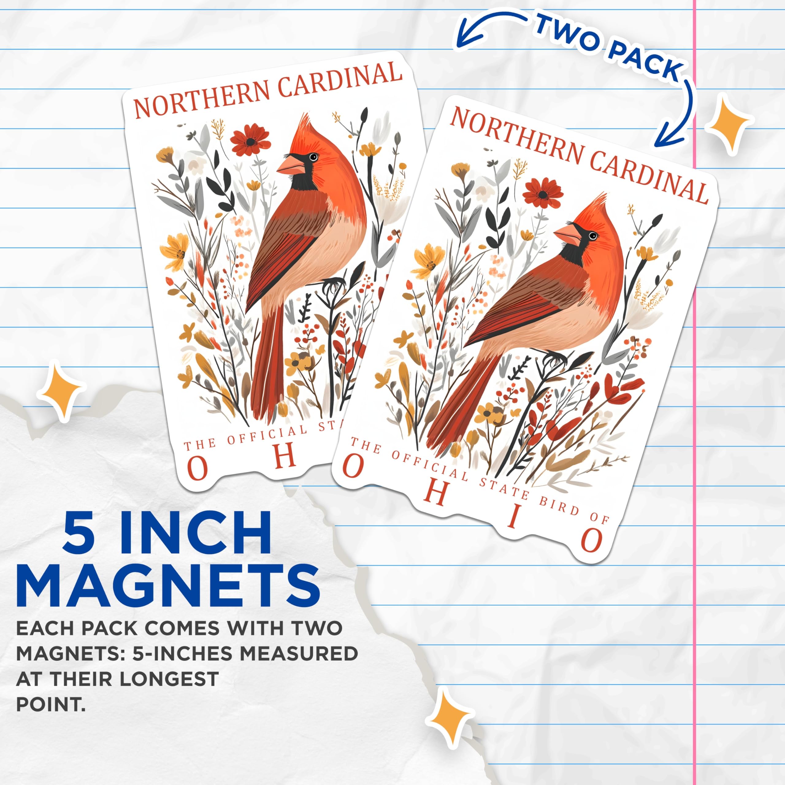 (2 Pack) Northern Cardinal Magnets - Ohio State Bird - Bird Lover Decor - 5" On Longest Side - Premium Magnet - for Cars, Refrigerators, Toolboxes, Lockers - Made in USA - MAG17803