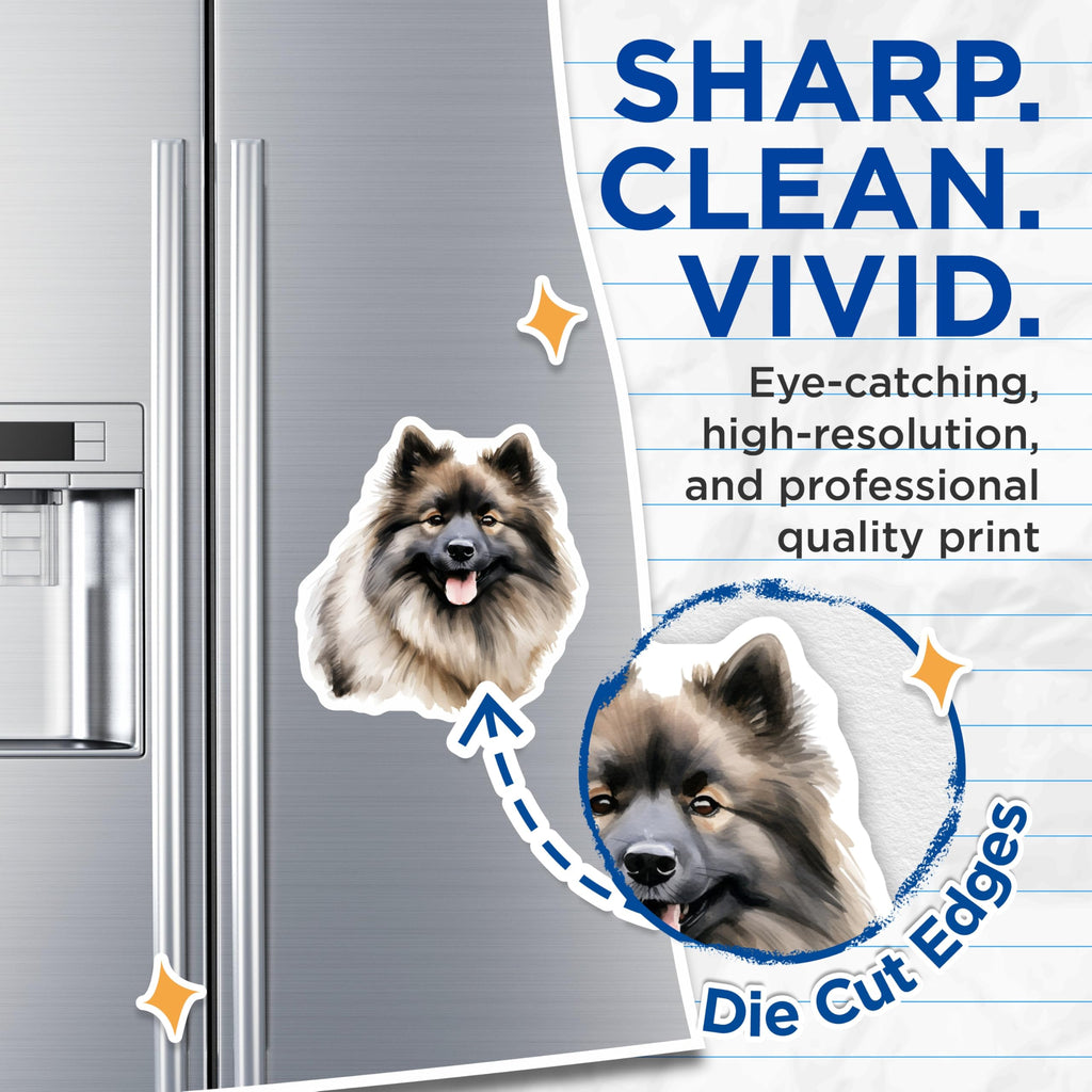 (2 Pack) Keeshond Dog Magnets - Watercolor Pet Portrait - Fluffy Puppy Lover Animal Art for Fridge - 5 Inches On Longest Side - Thick Durable Magnet - Made in USA - MAG29788