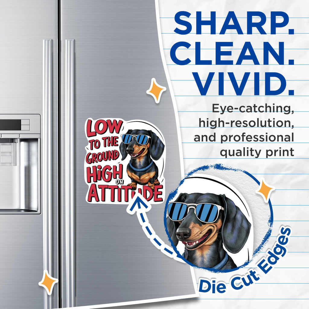(2 Pack) Low to The Ground High On Attitude Magnets - Weiner Dog Dachshund Dog Breed - 5 Inches On Longest Side - Premium Magnet - for Cars, Refrigerators, Toolboxes - Made in USA - MAG2145