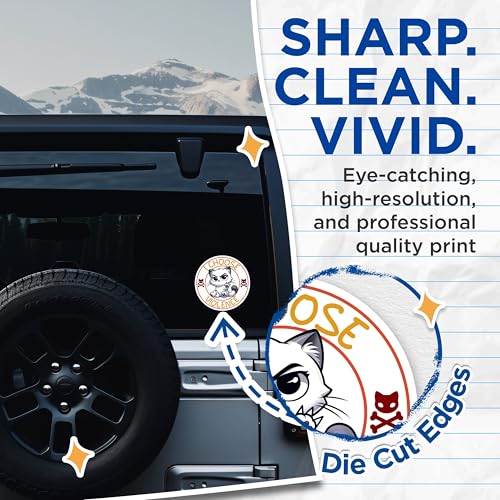 (2 Pack) I Choose Violence Cat Stickers - Humorous Feline Lovers Decal for Laptop Water Bottle - 5" On Longest Side - Sticks to Smooth Flat Surfaces - Made in USA - BMCS7345