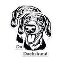 (2 Pack) Dachshund Dog Stickers - Cute Pet Decal - Animal Lovers Sticker - 5" On Longest Side - Sticks to Smooth Flat Surfaces - Made in USA - BMCS4021