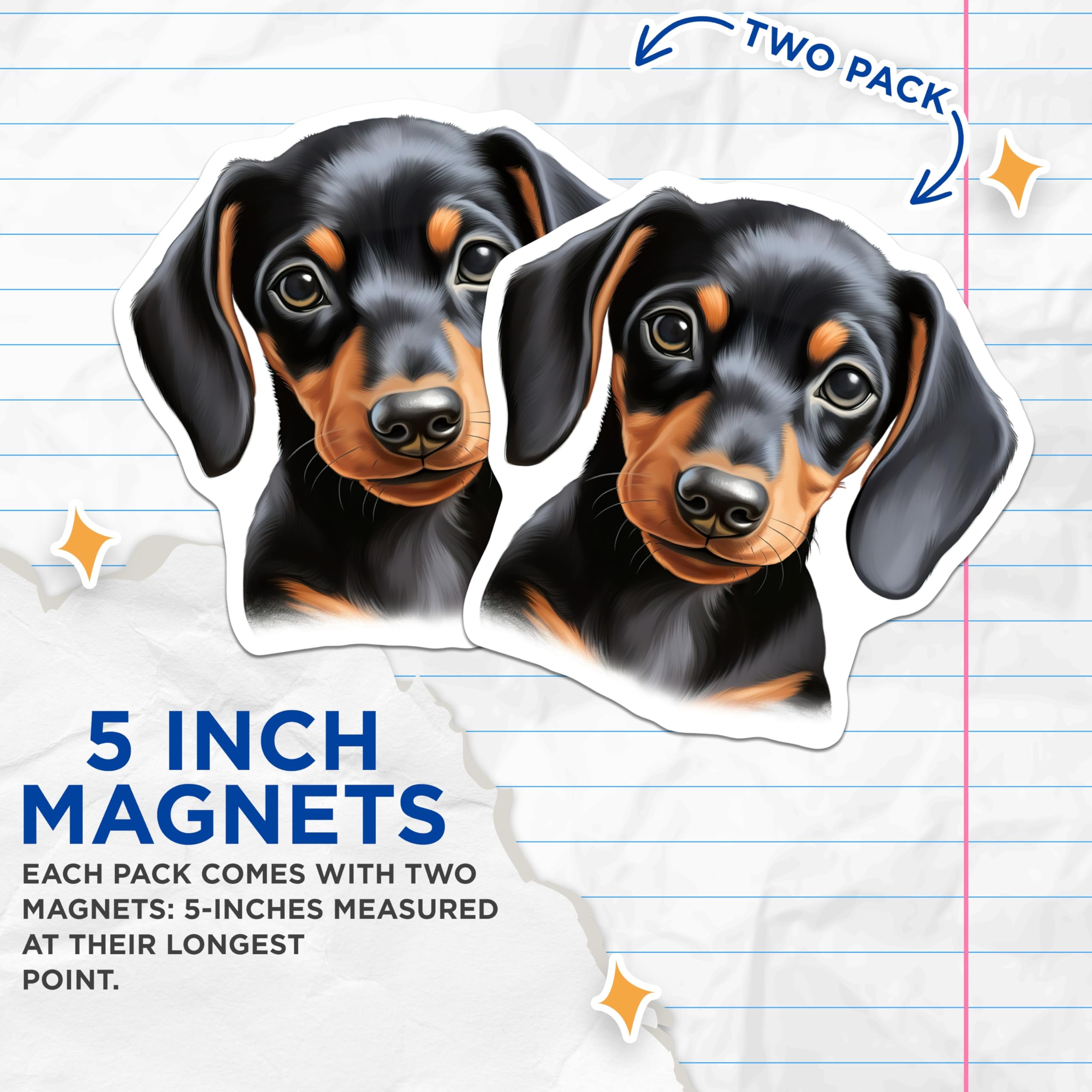 (2 Pack) Dachshund Puppy Magnets - Wiener Dog Decor - Pet Lover Refrigerator Art - 5 Inches On Longest Side - Thick Durable Magnet - Made in USA - MAG27993