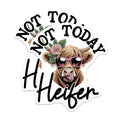 (2 Pack) Heifer Magnets - Not Today Heifer - Highland Cow Fridge Magnets - 5" On Longest Side - Premium Magnet - for Cars, Refrigerators, Toolboxes, Lockers - Made in USA - MAG16541