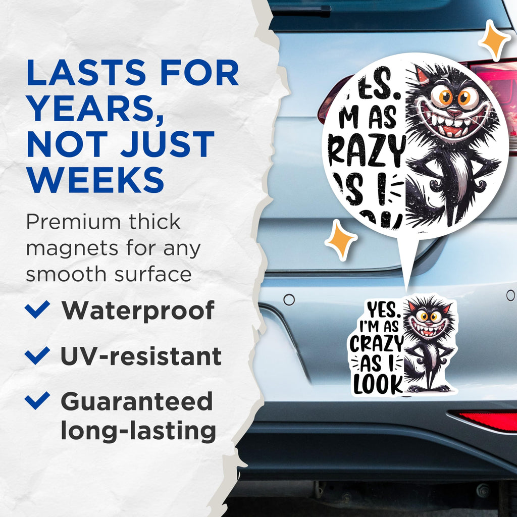 (2 Pack) Crazy Cat Magnets - Funny Kitten Decor - Sarcastic Home Magnets - 5" On Longest Side - Premium Magnet - for Cars, Refrigerators, Toolboxes, Lockers - Made in USA - MAG15621