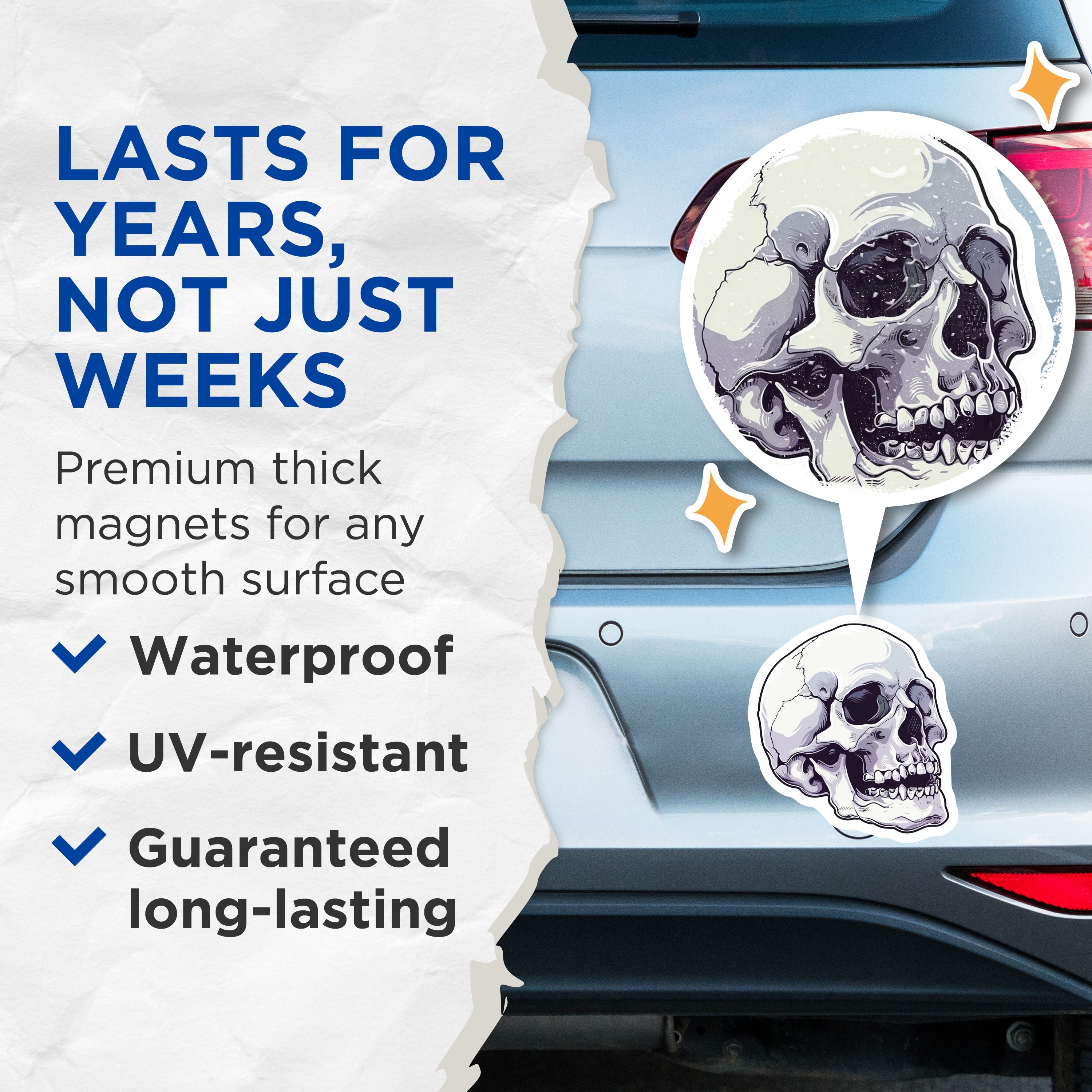 (2 Pack) Gothic Skull Magnets - Human Skeleton Decor - Dark Academia Spooky Anatomy Art - 5 Inches On Longest Side - Thick Durable Magnet - Made in USA - MAG39785